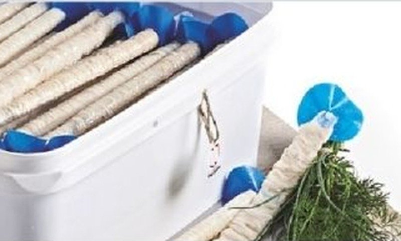 Sheep casing tubes in bucket